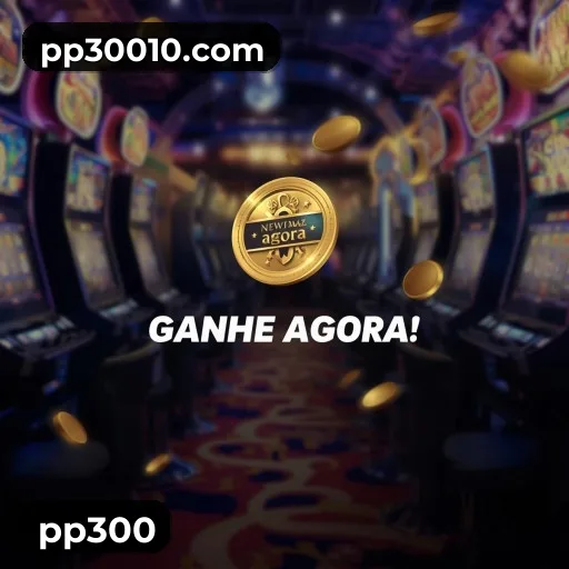 pp300 FAQ — perguntas frequentes usuários Brasil